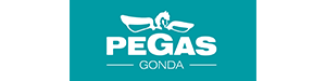 Pegas Bandsaw